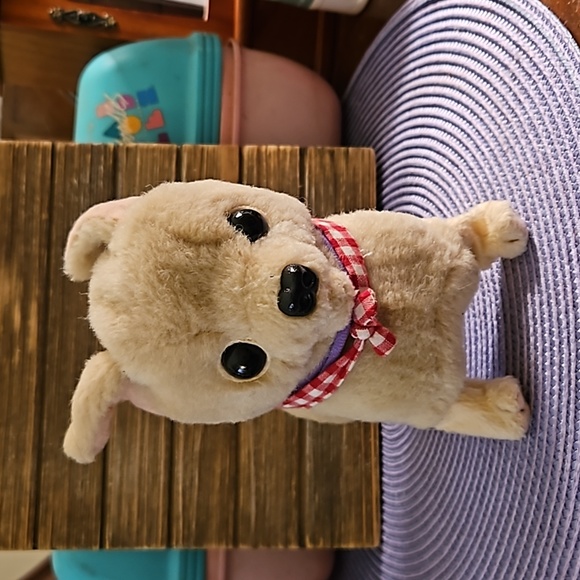 Battery Operated Chihuahua - Picture 1 of 2